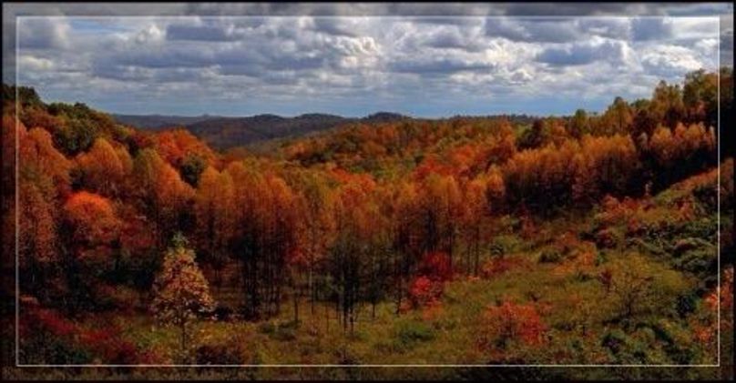 50d83ab2-aa51-4ce8-b7ec-f1dc4642967d 4 5005 c