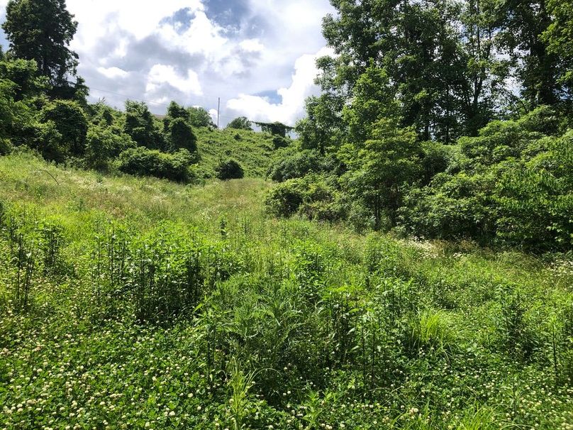 5aa349fb-e556-4951-b662-4480684eb74f 1 105 c