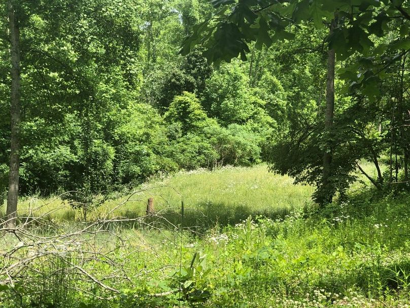 5e4f01c3-6800-4370-85b4-6e12af88fa79 1 105 c