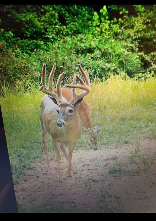 6409ebcc-5406-4baa-9a17-fa4c6cd4ab53 1 105 c