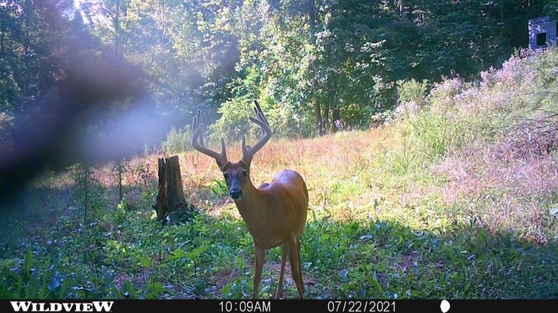 65f1ae41-5116-4839-9dbe-9b63df5a73c5 1 105 c