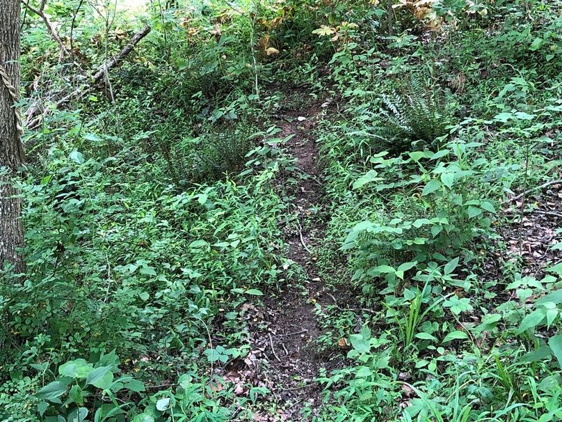 67418b02-7723-44d3-8fde-31f81b40caf1 1 105 c