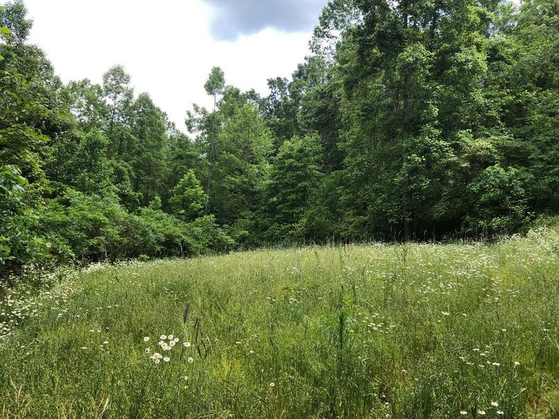 61dcd093-0234-4687-a5df-1c278552ebd4 1 105 c