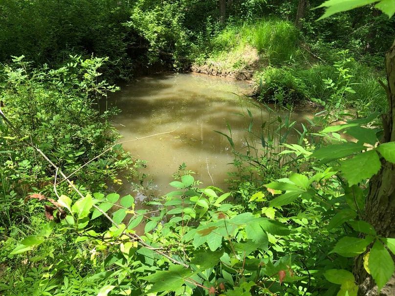 63c46cef-1886-4ccd-b52a-d8612b49619e 1 105 c