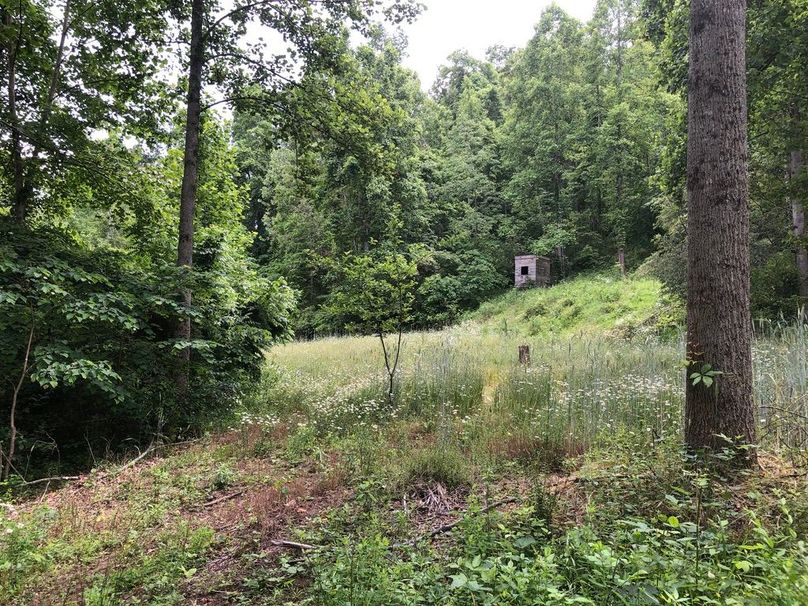 741ec288-0771-4b06-843d-08ca5f82a1f8 1 105 c