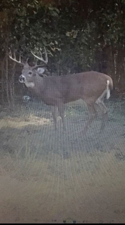 7689b67c-24ba-4f81-88e1-cd77919719d6 1 105 c