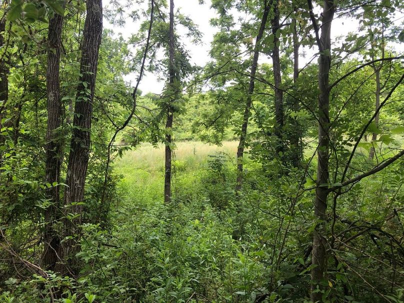 7183ec0e-7a90-40f7-b302-28763e11cfe3 1 105 c