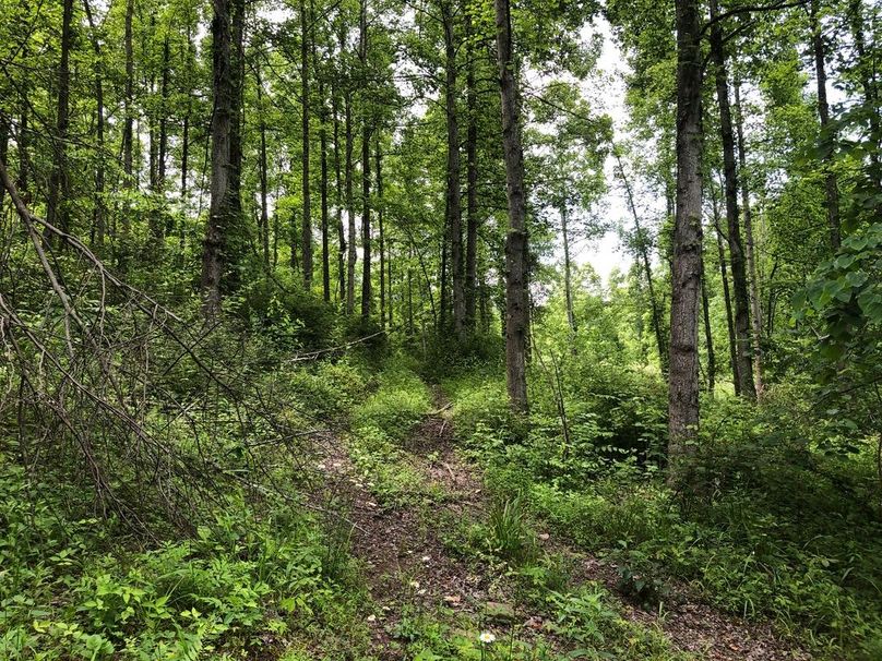 8690f99d-ec9a-4b43-901d-29633120d9ad 1 105 c