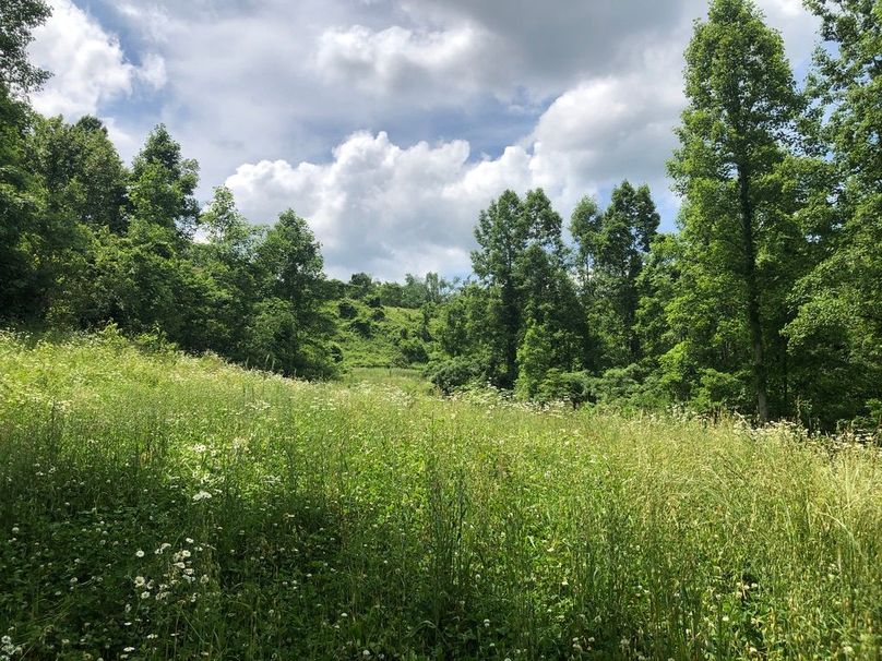 9bd7319a-c7a6-4152-8293-a6b73f538998 1 105 c