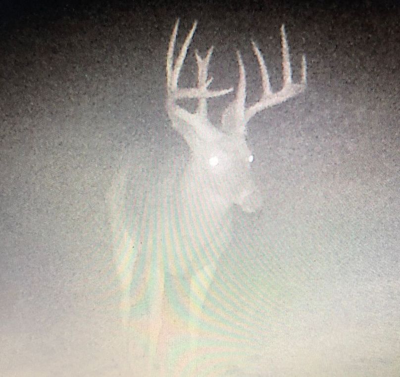 9f3da117-67c4-439e-9ea5-2df035f2aee3 1 105 c