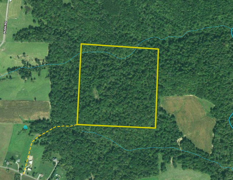 Screen shot 2021-06-18 at 4.10.11 pm