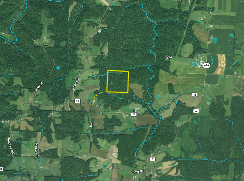 Screen shot 2021-06-18 at 4.11.06 pm