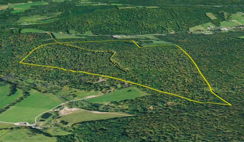 Screen shot 2021-06-22 at 1.19.46 pm