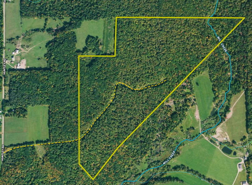 Screen shot 2021-06-22 at 1.20.45 pm