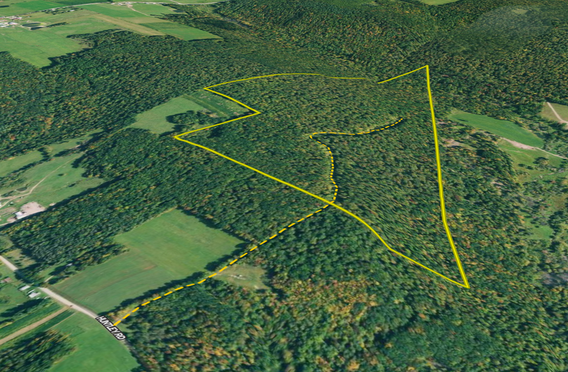 Screen shot 2021-06-22 at 1.20.05 pm