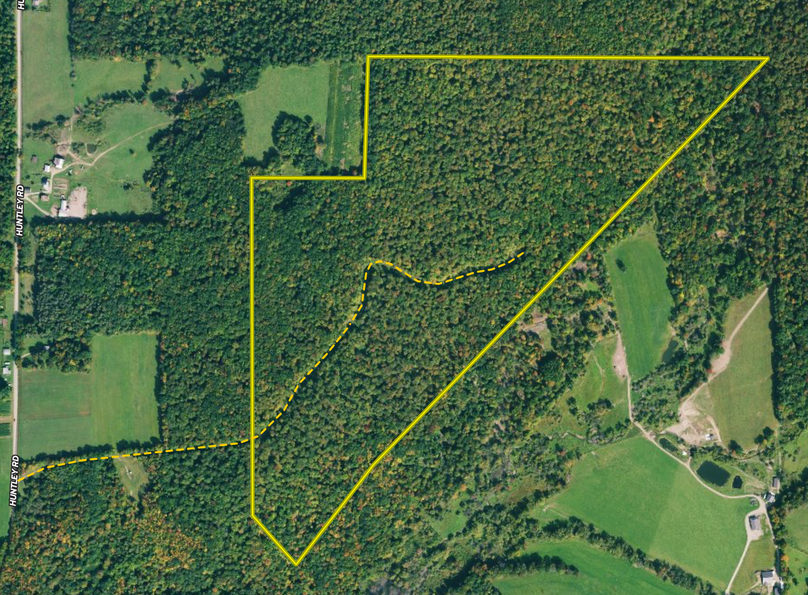 Screen shot 2021-06-22 at 1.20.30 pm