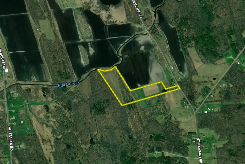 Ferlito oswego mapright 7