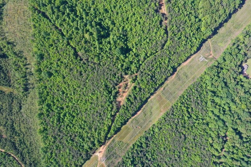 A4665e9d-1e55-42e1-9b27-e7f3031fb16e 1 105 c