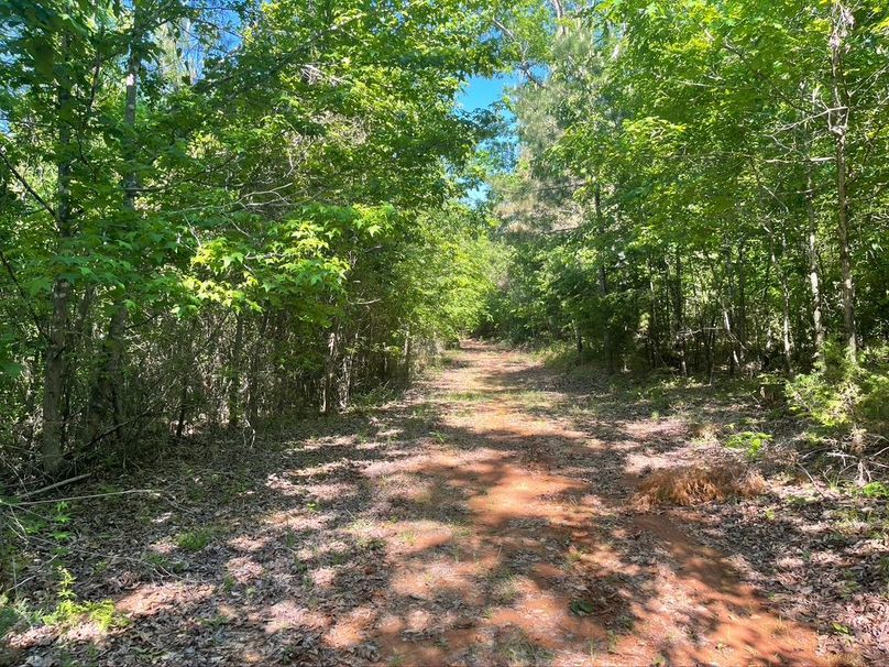 A03c1a88-5cd6-4519-83f1-284f9b5011e4 1 105 c