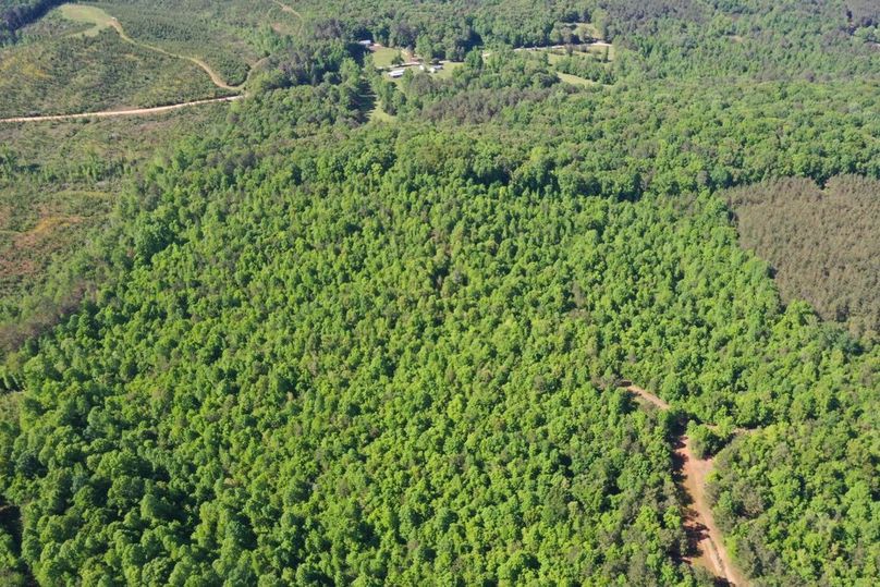 B09541af-5db9-4fac-9899-ea84dda34e51 1 105 c