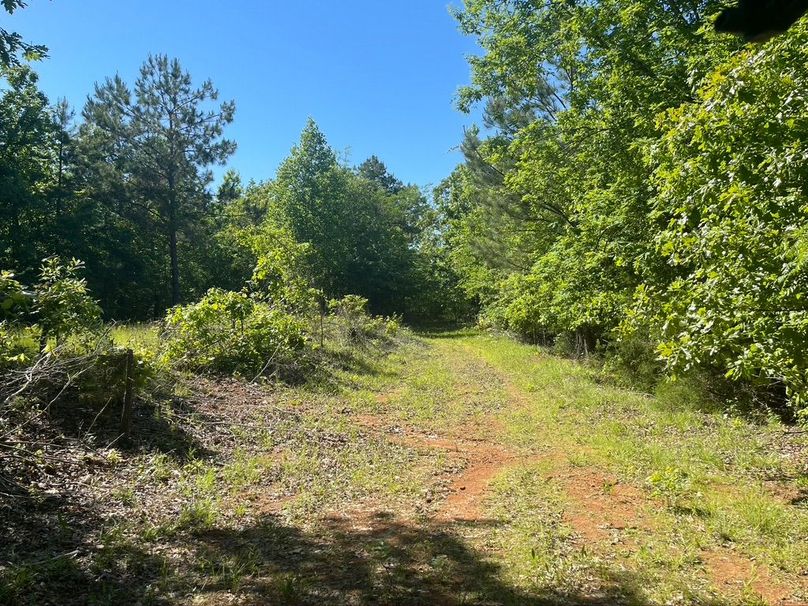 C5f9ed45-1f12-4e3c-9c34-c1c3305d8099 1 105 c