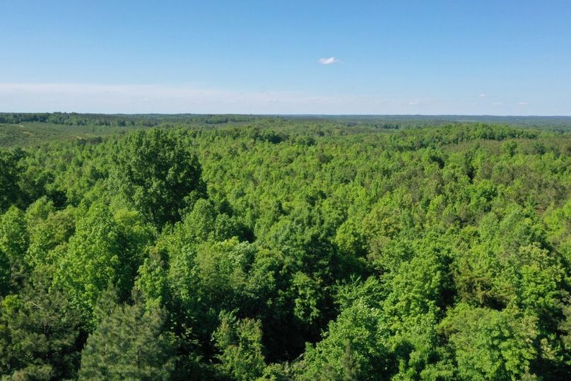 Cb48c466-660a-497a-8741-8bd9ed49cf99 1 105 c