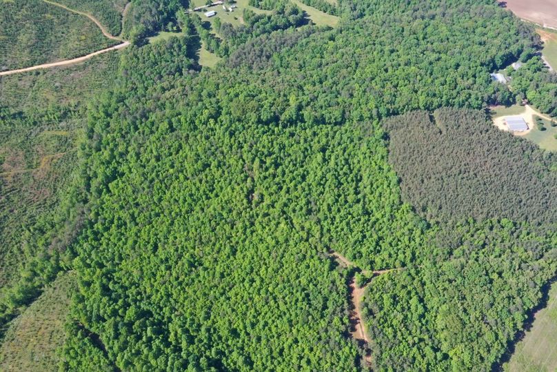 D5f252c8-4979-49d2-b611-379dd6550edb 1 105 c