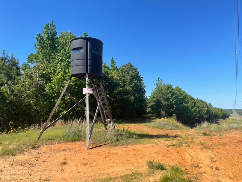 D79a537c-9aaf-4c97-8b30-3e36e3360ebd 1 105 c