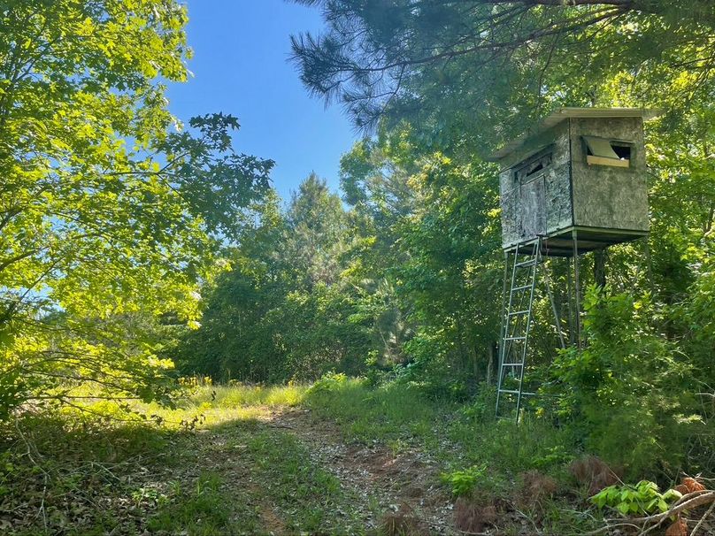 D137285b-b745-4ead-b1fc-2d558480f9e3 1 105 c