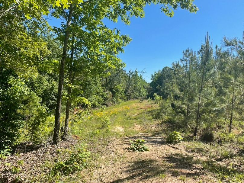 D221a3d8-e956-49e0-84fa-befd1f168080 1 105 c