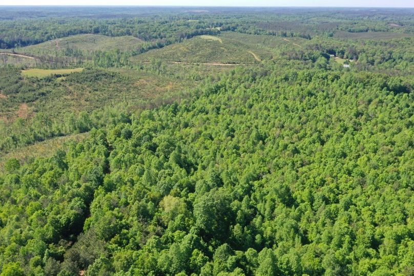 E7a57f89-c743-414e-b2de-1e8e33271f55 1 105 c