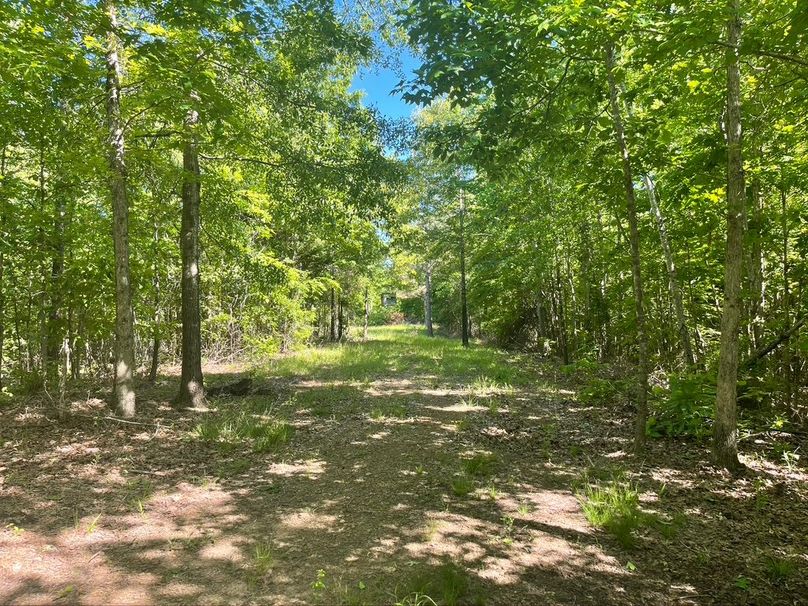 F8763279-e27d-4d91-9c38-e01086c4e847 1 105 c