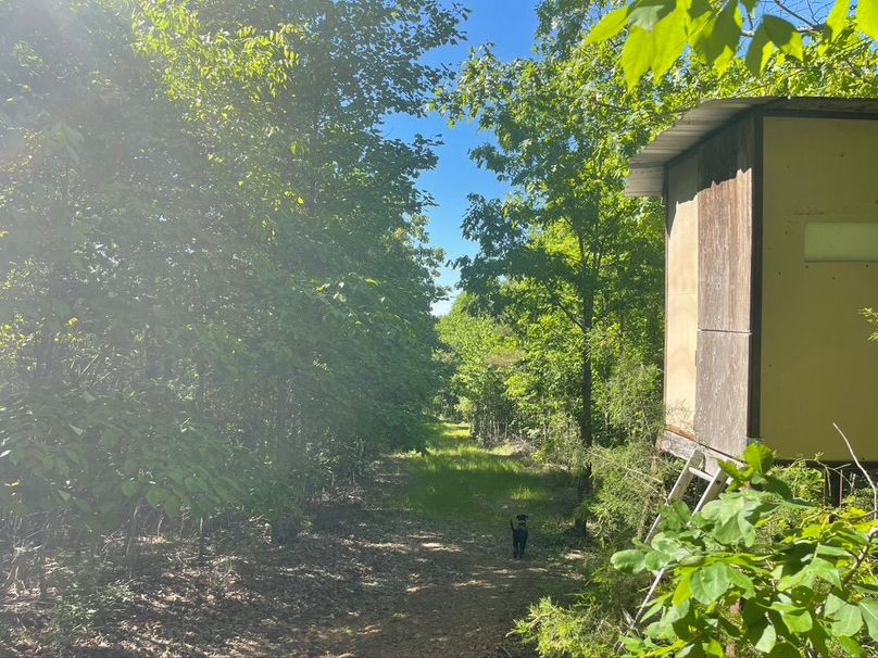 1b0a5a0d-00bd-4356-bc39-130dc7288f1f 1 105 c