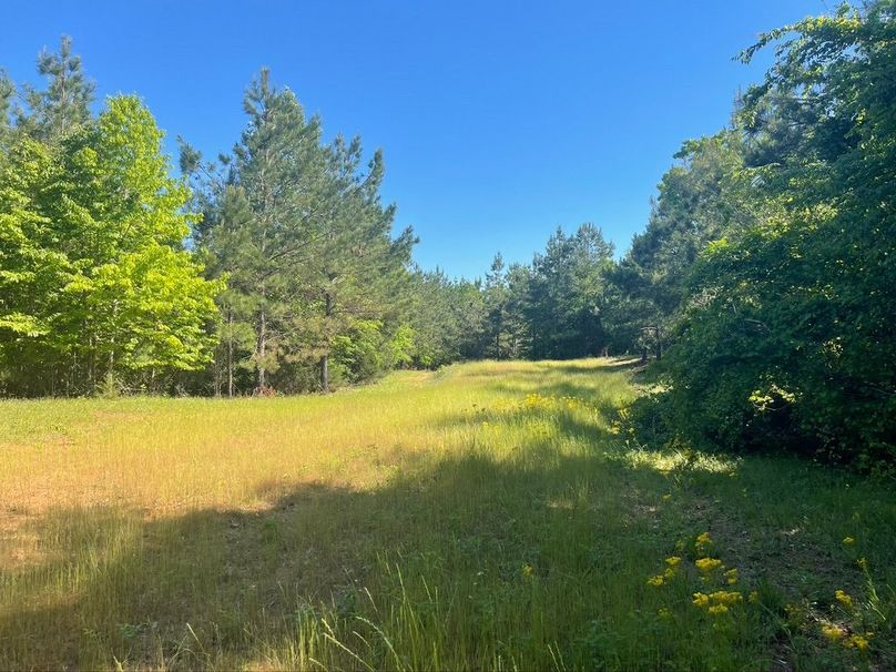 1ddc2017-8e13-453a-b7f9-fc1896926d6a 1 105 c