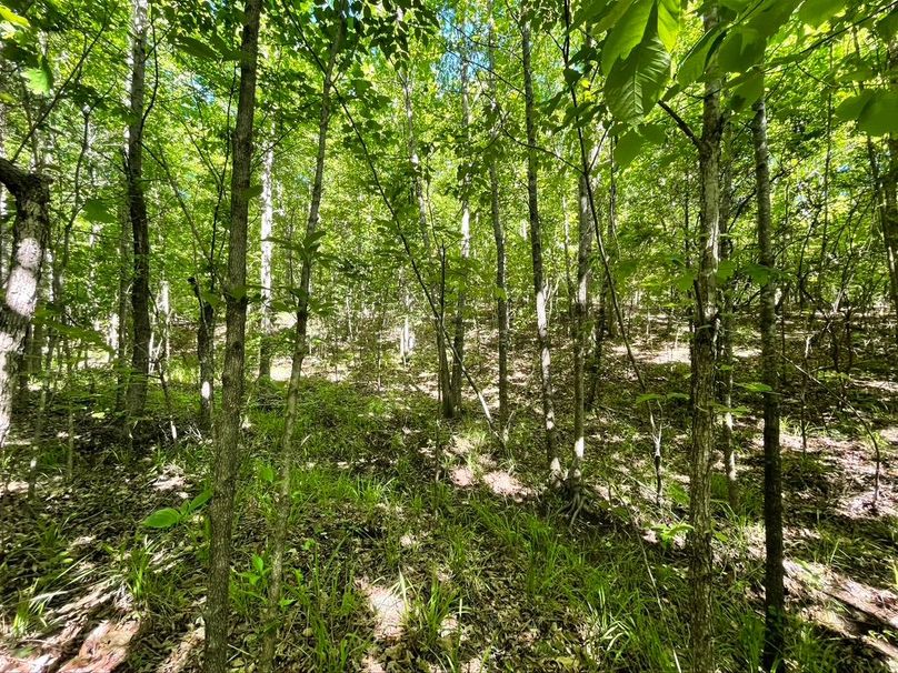 1f7ea936-2395-4467-ae7b-790e5fd0fbb6 1 105 c