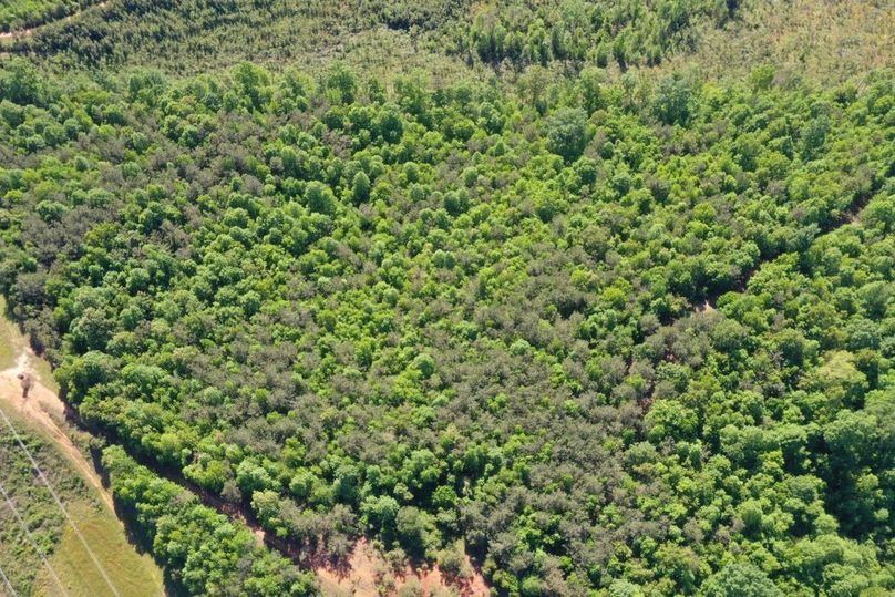 2f5b3775-b62a-4a56-a7ec-72dad479acd2 1 105 c