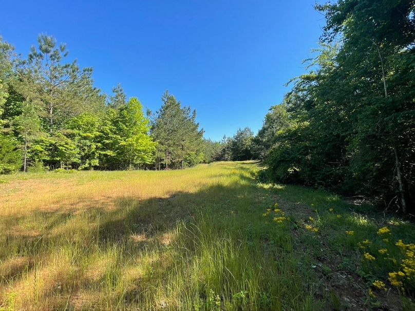 4a13fdcf-dc67-4502-b9b3-ccb329040818 1 105 c