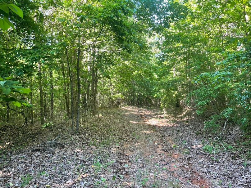 4e368ae3-614d-4745-92e8-4e845f7ede8d 1 105 c