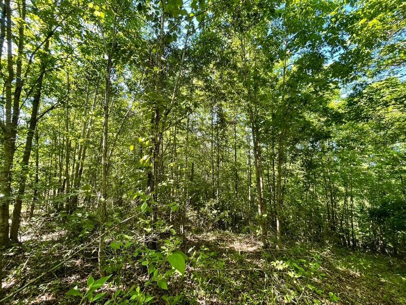 4e810f18-6371-4052-acfa-602f09d900c6 1 105 c