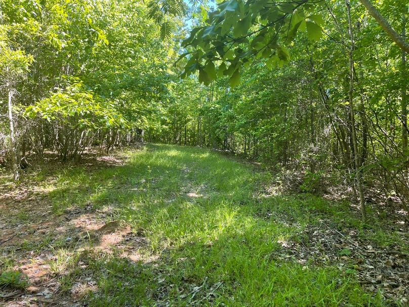 562fa609-0551-443e-8ddc-6d894c3d8ee2 1 105 c