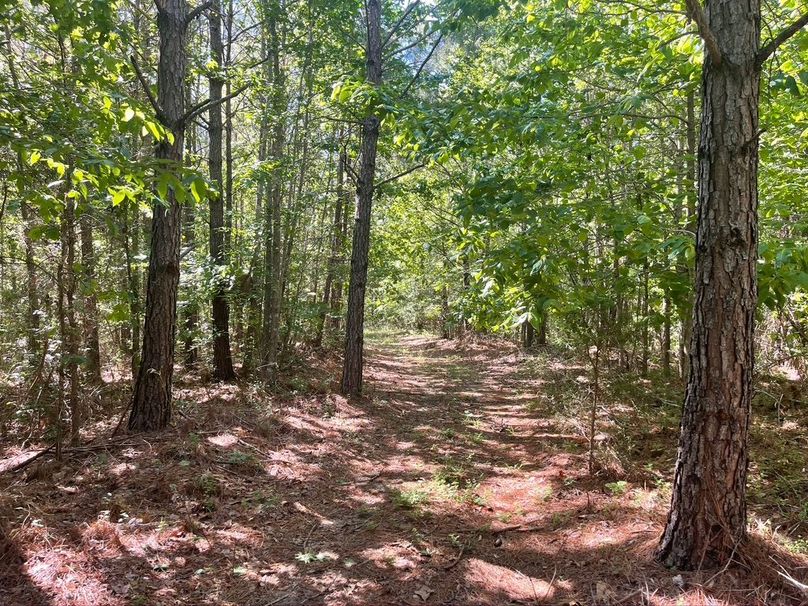 5924197c-9883-4d2e-950c-e2f88274c0c6 1 105 c