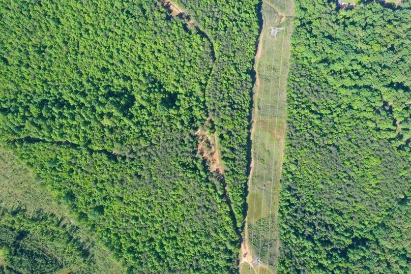 787199f1-4b80-4b5c-93c6-ffe4f30eadb6 1 105 c