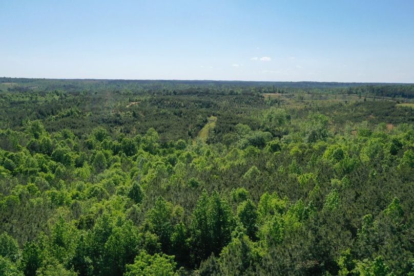 72744910-758d-49fb-a244-6d55bef91da2 1 105 c