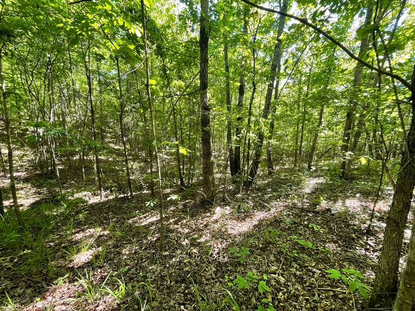 7ab6b79f-59a5-43ca-aa2e-2afcc0278796 1 105 c