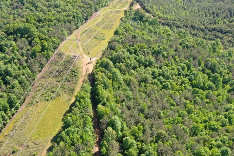 7cfbb025-fa86-423d-953a-89fa85a1ea52 1 105 c