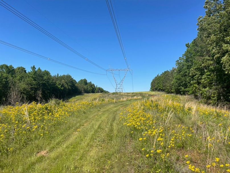 8f73086c-05f4-4421-a834-32243a21ae24 1 105 c