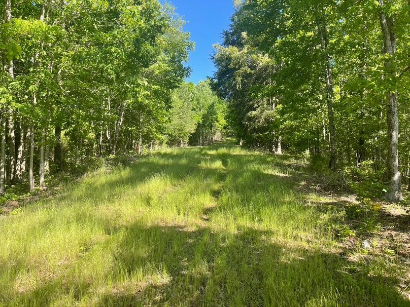 904afd97-336e-4c7c-9df3-9f3d88a65bc7 1 105 c