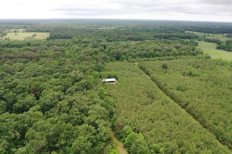 Screen 4e8de3b96506e4c5 1621360448484