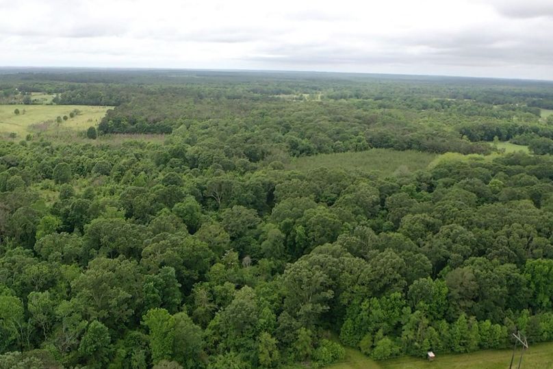 Screen 5b29ffcb479be7a2 1621360665726