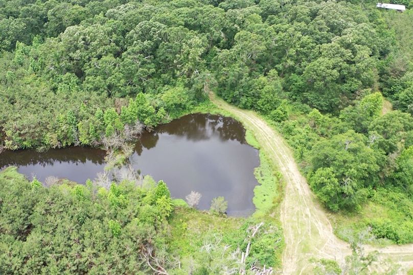 Screen 6c93a65929a6cfe0 1621360418087